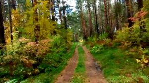 РОДИНА (В. Евич автор В. Валиулин)