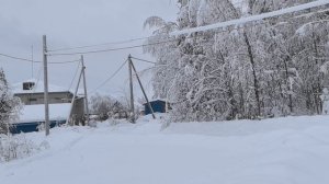 Живу у леса одна.