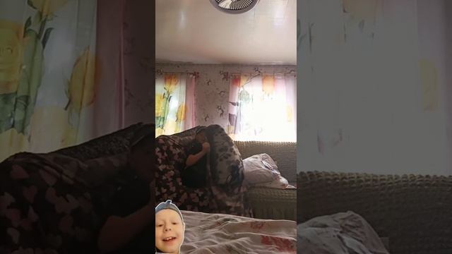 мама я случайно (ПАРОДИЯ) смотреть онлайн