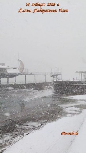 16 января 2026 г. Ялта. Набережная. Снегопад #ялта #ялта2026 #снегопад