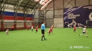 Динамо 2017 Турнир 17.01.2025