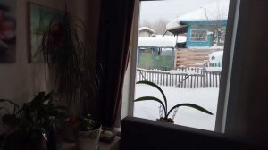 Занимаюсь домашними делами. Целый день не было воды. Заказала доставку.