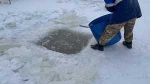 Запуск форели в акваторию !!!