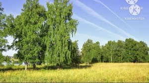 Заставки (НТВ Варя, 01.07.2011-31.08.2011, 01.06.2012-02.10.2012)