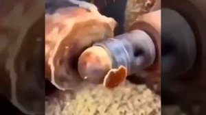 Шарики из коронки 💪