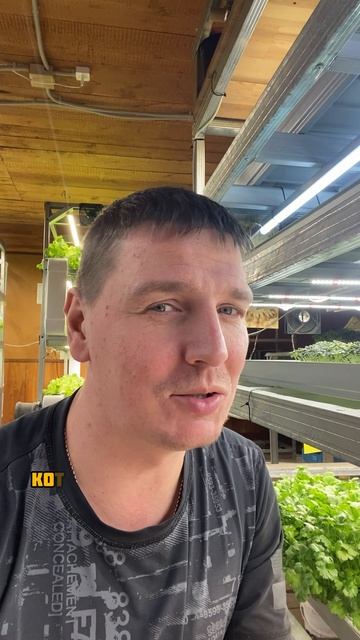 Детям можно смотреть онлайн