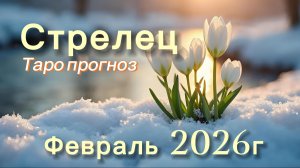 СТРЕЛЕЦ ‼️ ТАРО ПРОГНОЗ НА ФЕВРАЛЬ 2026