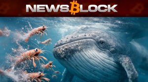 Крипто-Киты Снова в Деле