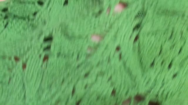 Ёлка распустилась! смотреть онлайн