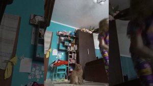 VID_20260117_162005.mp4