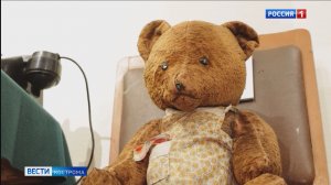В Костромском музее-заповеднике появился медвежонок-заступник из блокадного Ленинграда