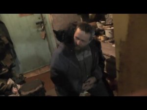 Дружба и любовью к животным не помешают