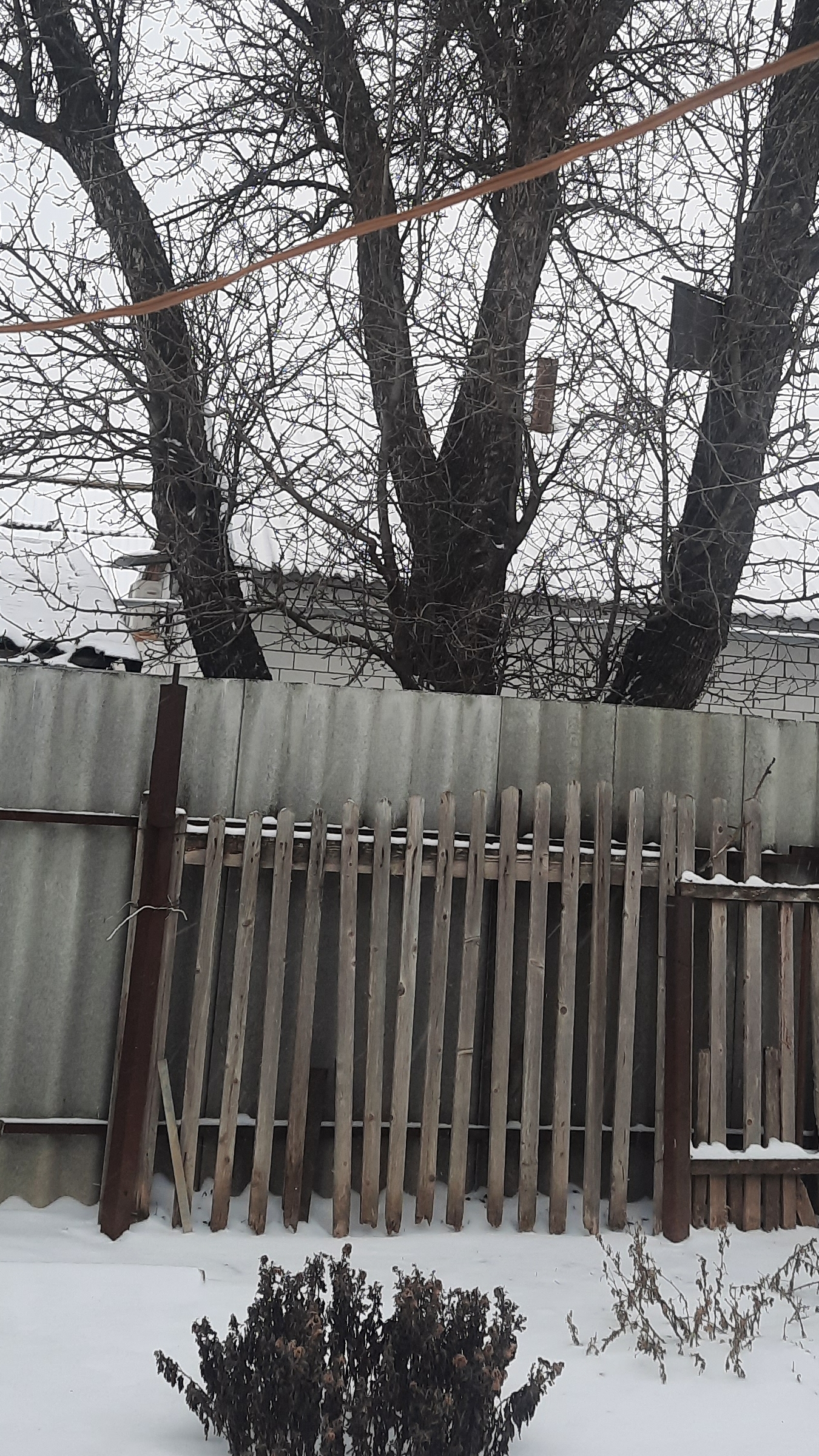 17-01-2026 Зимушка -13° ❄ смотреть онлайн