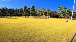 Autumn Walk from the Imperial Palace to Hibiya Park