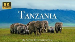 Tanzania 4K - Scenic Wildlife Film With African Music