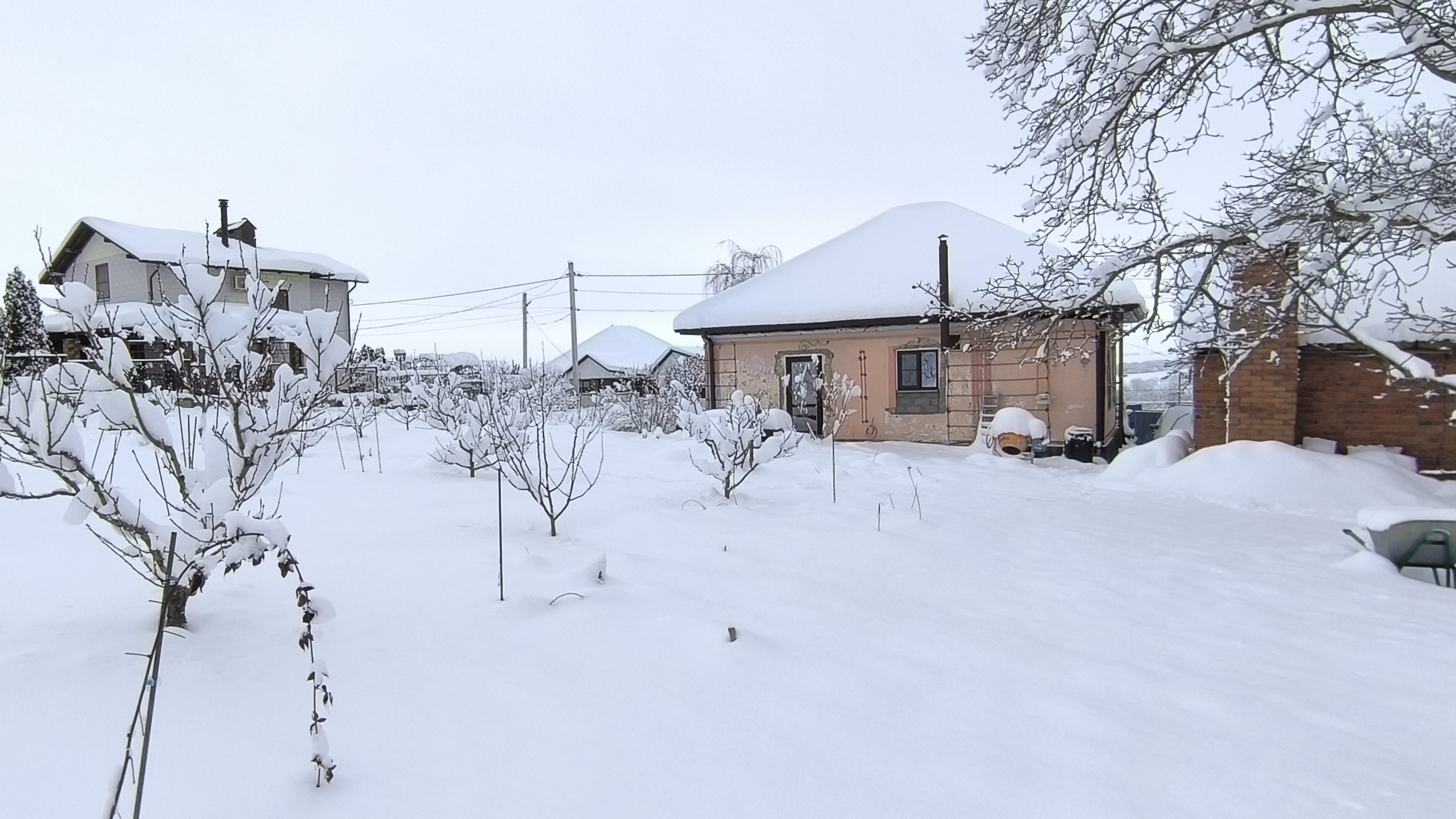 390 Зима 2026 в Краснодарском крае январь в селе Молдаванское.