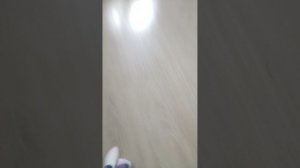 VID_20260117_150101.mp4