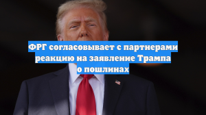 Германия согласовывает с партнерами реакцию на заявление Трампа о пошлинах