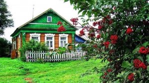 Жизненная история про деревню