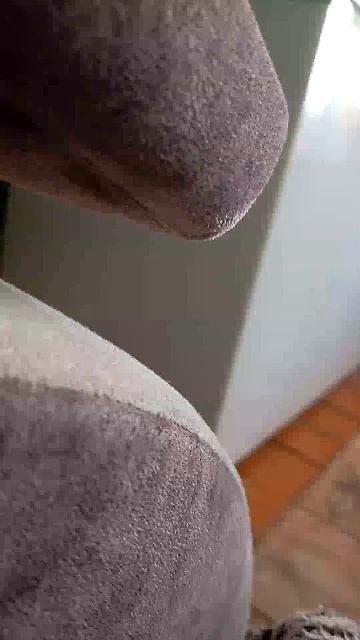 стрим смотреть онлайн