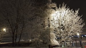 17-01-2026 морозко/её в дверь, а она в трубу/болтаем и читаем комментарии🌺🌺🌺🌺🌺🌺🌺🌺