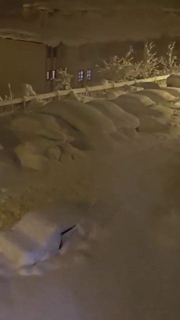 Снегом замело 13 января Челикхан, провинция Адыяман, Турция