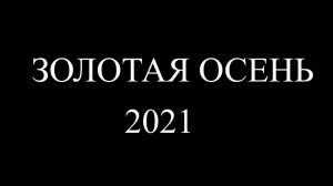 СПК Береговой. Золотая осень 2021 4K
