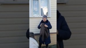 13 января 2026 г. Пуховые платки от заводчика придонской породы коз...Заказать 89921452392 телеграм