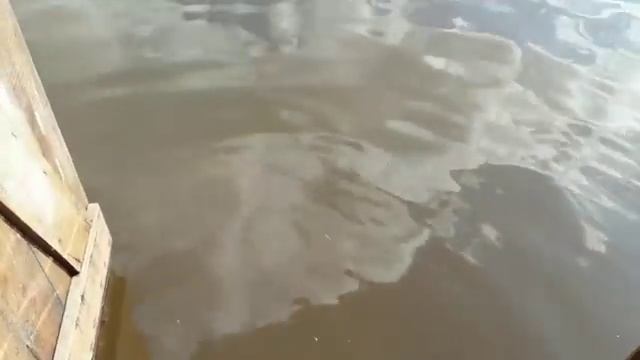 2019-09-29_700 смотреть онлайн