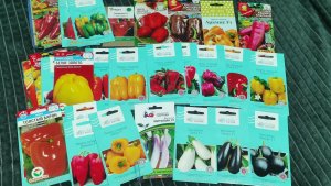 Старт сезона 2026 уже совсем скоро! Выбираем семена для урожайного огорода.