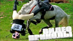 ЛУЧШИЕ ПРИКОЛЫ 2025 | ПРИКОЛЫ 2025 | СВЕЖИЕ ПРИКОЛЫ 2025 | РЖУ НЕ МОГУ |