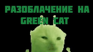 |Разоблачение на Green Cat|Заслужен ли хейт?