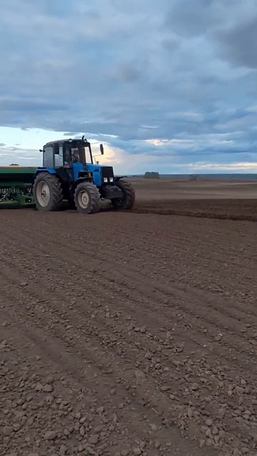 1000174152.mp4 смотреть онлайн