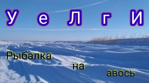 ✌УеЛгИ✌Рыба нашла меня сама!!! А так можно было? 🤔 + обзор подводной камеры