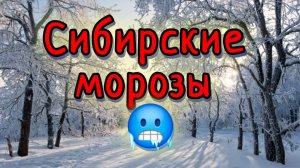 ДАВНО ТАКОГО НЕ БЫЛО...ПРО КРЕЩЕНСКИЕ МОРОЗЫ В СИБИРИ