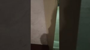 смотрим что делает мой брат