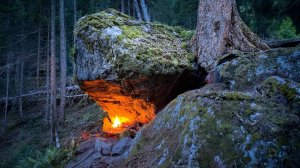 24-ЧАСОВОЙ ВЫЗОВ НА ВЫЖИВАНИЕ В ОДИНОЧКУ (без еды, воды и укрытия)