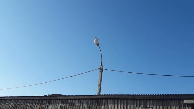 2020-10-08_690 смотреть онлайн