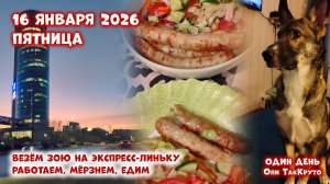 Возили Зою на груминг, работали, мёрзли, много ездили. 16 января 2026, день с Олей ТакКруто