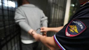 Жителя Екатеринбурга арестовали после избиения младенца и его матери на улице