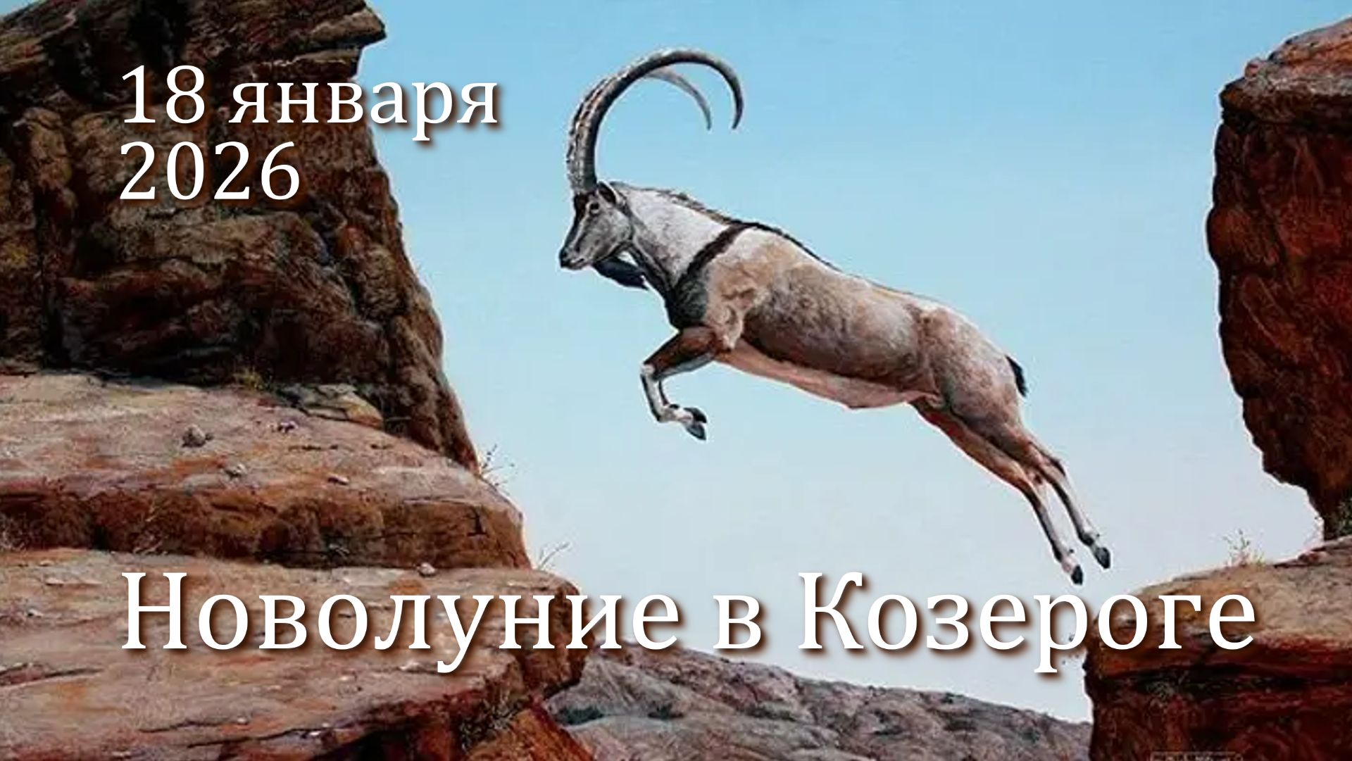 С Новой Луной начинаем заканчивать смотреть онлайн