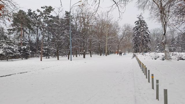 заснеженный Краснодар, чистяковская роща, зиповская, январь 2026 смотреть онлайн