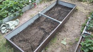 47-ДАЧА меняем землю у клубники😁3 часть(29.07-01.08.21.)