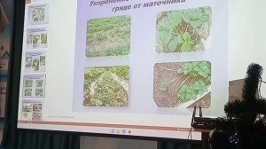 Правила выращивания земляники.