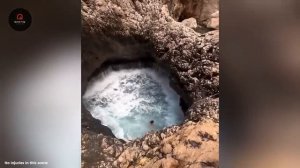 Невероятные моменты из жизни природы, снятые на камеру в 2025 году. Видео из интернета.