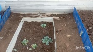 В КРЫМУ ЗИМА/А МЫ НА ДАЧУ/17 ЯНВАРЯ/