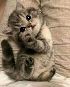 распаковка подрков от тёти Ани