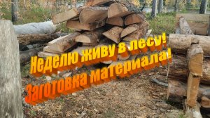 Неделю живу в лесу! Занимаюсь заготовкой материала! I've been living in the forest for a week!