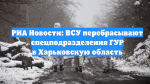РИА Новости: ВСУ перебрасывают спецподразделения ГУР в Харьковскую область