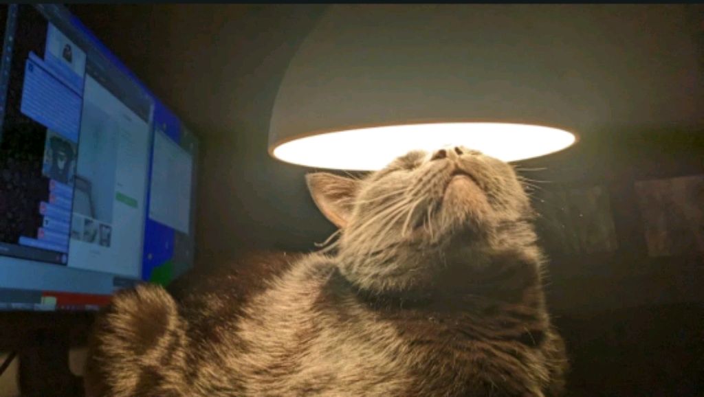 посмотрим мою комнату и гостиную смотреть онлайн